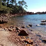 Les Orangers De Santa Lucia, Vue Et Port, St Raphaël *