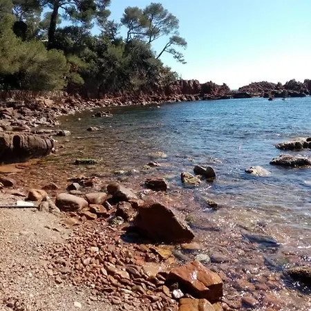 Les Orangers De Santa Lucia, Vue Et Port, St Raphaël *