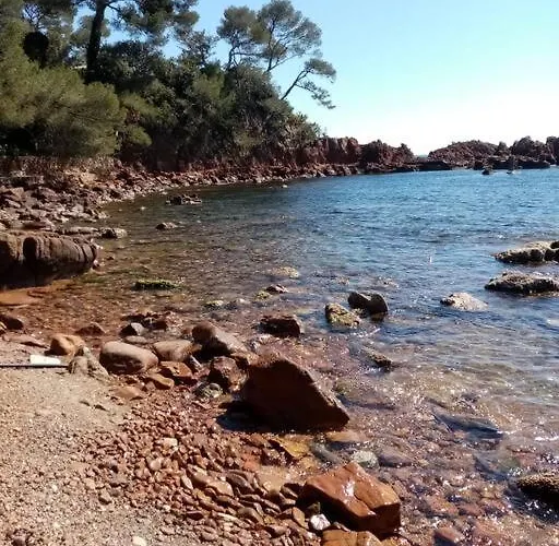 Les Orangers De Santa Lucia, Vue Et Port, St Raphael *